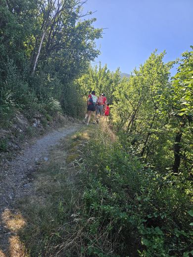 Sierre Express 2026 — photo 25